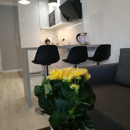 White Apartament 2 * 슈비노우이스쳬
